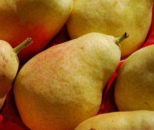 Preview wallpaper pears, fruit, food
