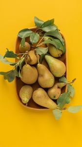 Preview wallpaper pears, fruit, leaves, ripe