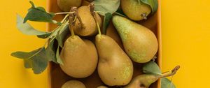 Preview wallpaper pears, fruit, leaves, ripe