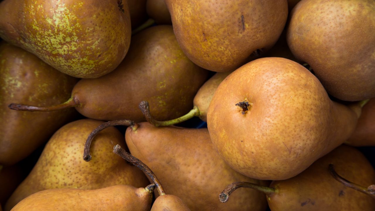 Wallpaper pears, fruit, ripe