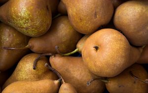 Preview wallpaper pears, fruit, ripe