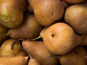 Preview wallpaper pears, fruit, ripe