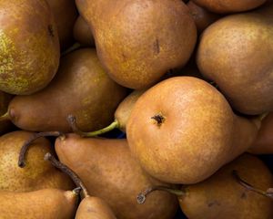 Preview wallpaper pears, fruit, ripe