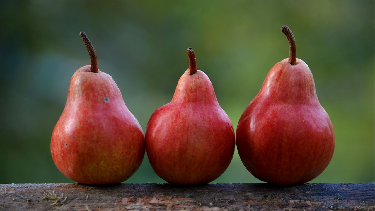 Wallpaper pears, fruit, ripe