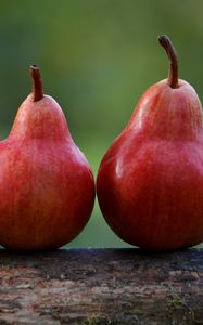 Preview wallpaper pears, fruit, ripe