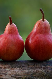 Preview wallpaper pears, fruit, ripe