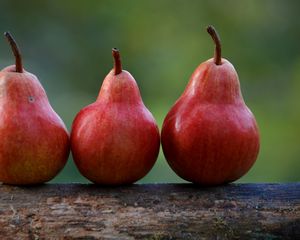 Preview wallpaper pears, fruit, ripe