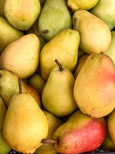 Preview wallpaper pears, fruit, yellow