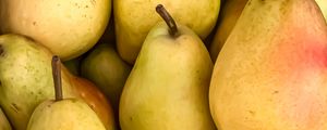 Preview wallpaper pears, fruit, yellow