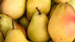 Preview wallpaper pears, fruit, yellow