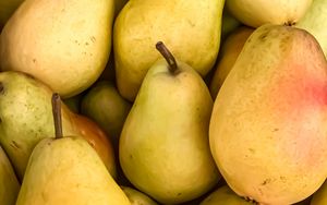 Preview wallpaper pears, fruit, yellow