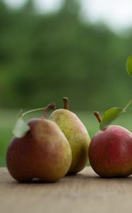 Preview wallpaper pears, fruits, leaves, fresh