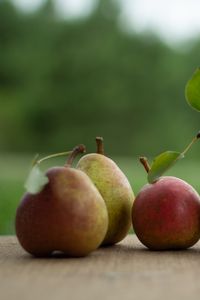 Preview wallpaper pears, fruits, leaves, fresh