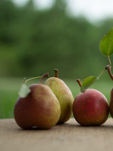 Preview wallpaper pears, fruits, leaves, fresh