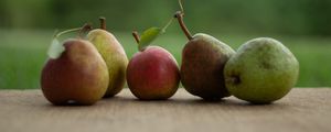 Preview wallpaper pears, fruits, leaves, fresh