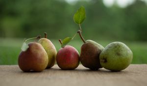 Preview wallpaper pears, fruits, leaves, fresh