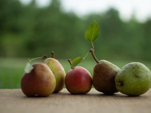 Preview wallpaper pears, fruits, leaves, fresh