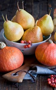 Preview wallpaper pears, squash, mountain ash, plate