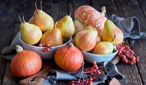 Preview wallpaper pears, squash, mountain ash, plate