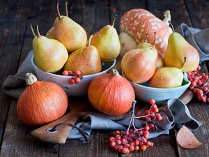 Preview wallpaper pears, squash, mountain ash, plate