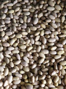 Preview wallpaper peas, beans, background