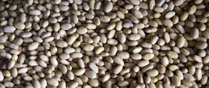 Preview wallpaper peas, beans, background