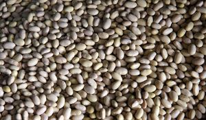 Preview wallpaper peas, beans, background