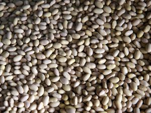Preview wallpaper peas, beans, background
