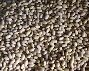 Preview wallpaper peas, beans, background