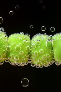 Preview wallpaper peas, drops, close-up