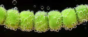 Preview wallpaper peas, drops, close-up