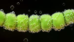 Preview wallpaper peas, drops, close-up