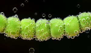 Preview wallpaper peas, drops, close-up