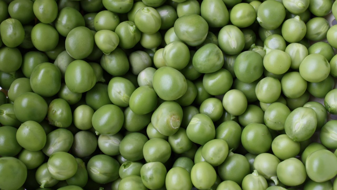Wallpaper peas, green, many