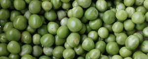 Preview wallpaper peas, green, many