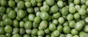 Preview wallpaper peas, green, many