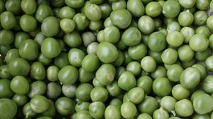 Preview wallpaper peas, green, many