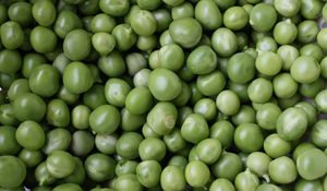 Preview wallpaper peas, green, many