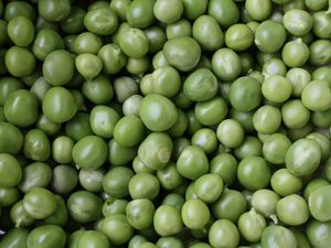 Preview wallpaper peas, green, many