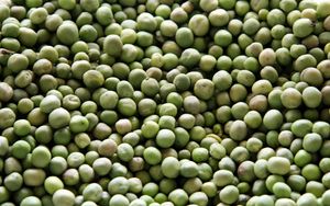 Preview wallpaper peas, heap, green