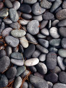 Preview wallpaper pebbles, stones, texture, gray