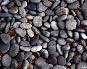 Preview wallpaper pebbles, stones, texture, gray