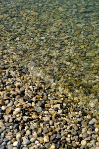 Preview wallpaper pebbles, stones, waves, water