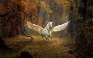 Preview wallpaper pegasus, horse, wings, forest, fantasy, art
