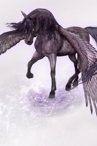 Preview wallpaper pegasus, horse, wings, water
