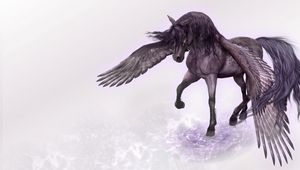 Preview wallpaper pegasus, horse, wings, water