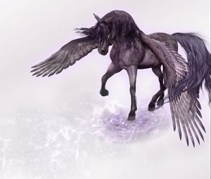 Preview wallpaper pegasus, horse, wings, water