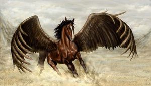 Preview wallpaper pegasus, horse, wings, sand