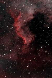 Preview wallpaper pelican nebula, nebula, stars, space, red