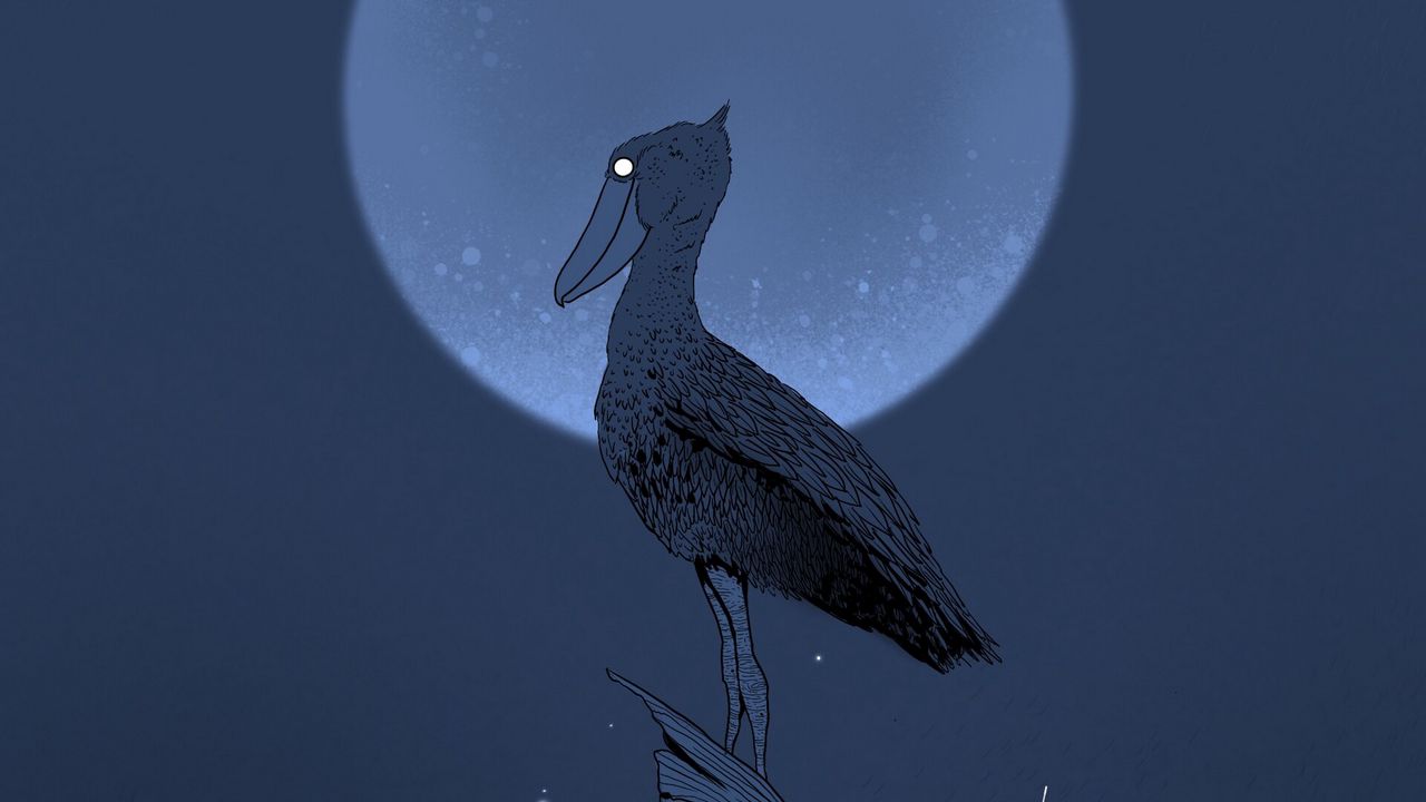 Wallpaper pelican, stump, night, moon, bird, art